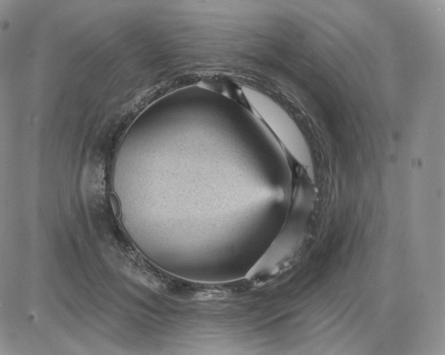 X0000083650700200702261116