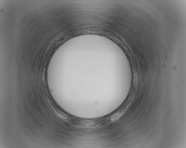 X0000083650701200702261116