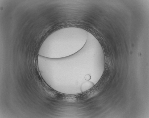 X0000083650702200702261116