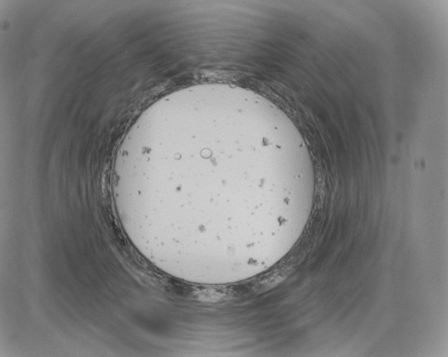 X0000083650703200702261116