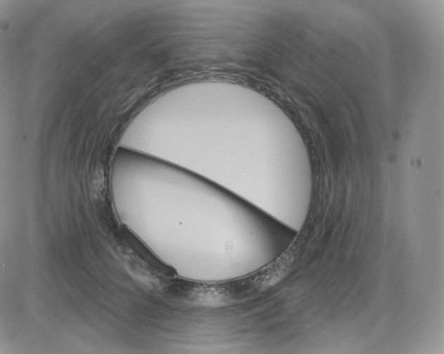 X0000083650704200702261116