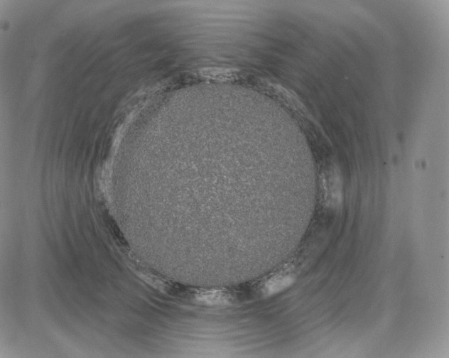 X0000083650705200702261116