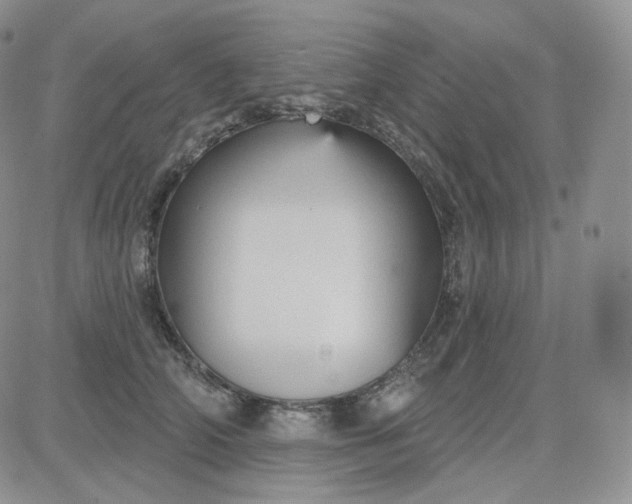 X0000083650706200702261116