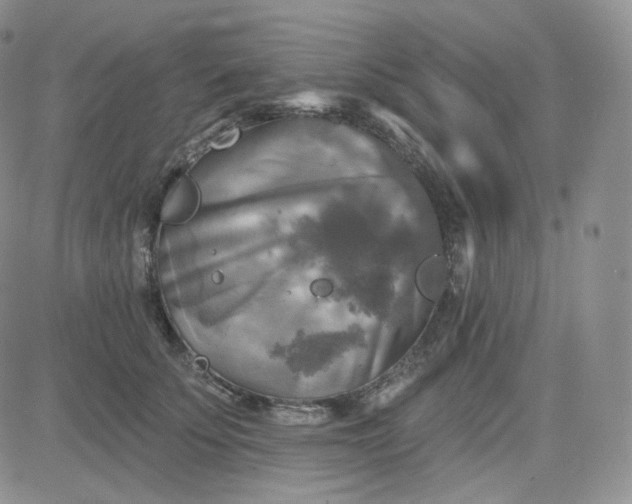 X0000083650707200702261116