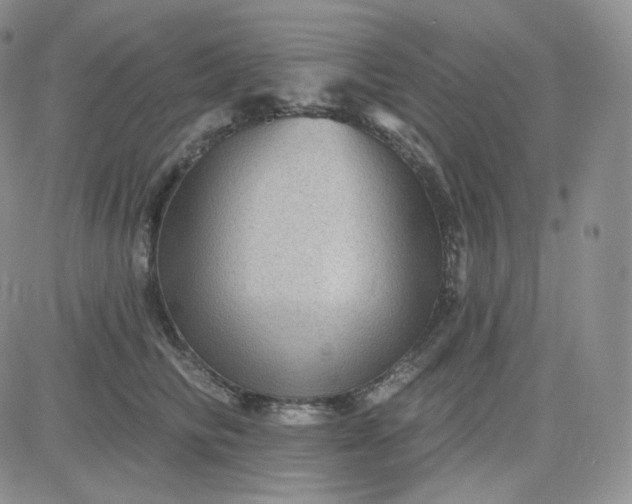 X0000083650710200702261116