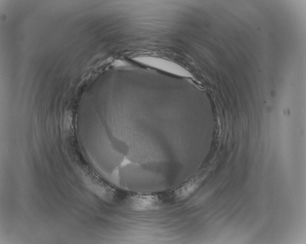 X0000083650711200702261116