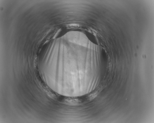 X0000083650712200702261116