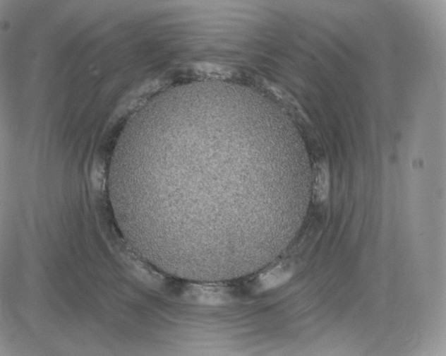 X0000083650713200702261116