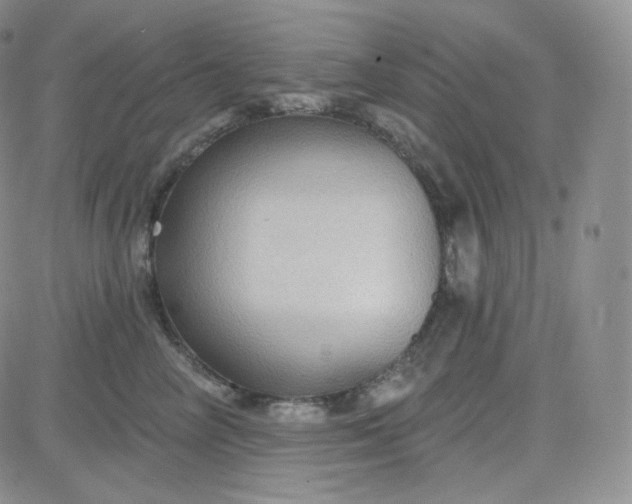 X0000083650714200702261116