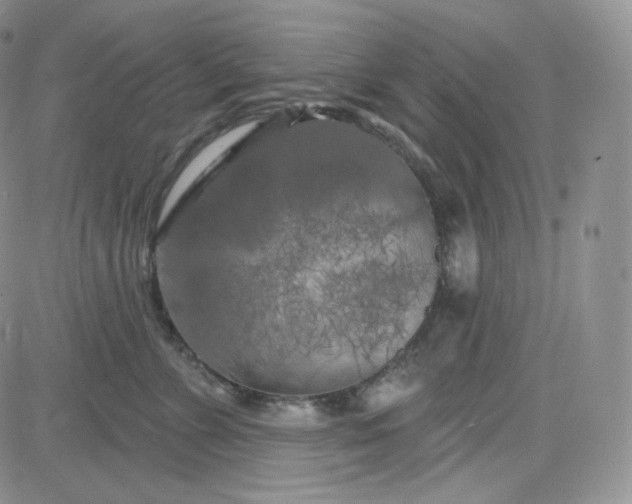 X0000083650715200702261116