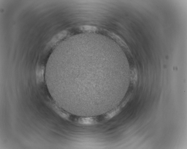 X0000083650717200702261116