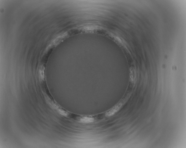 X0000083650718200702261116