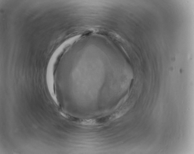 X0000083650720200702261116