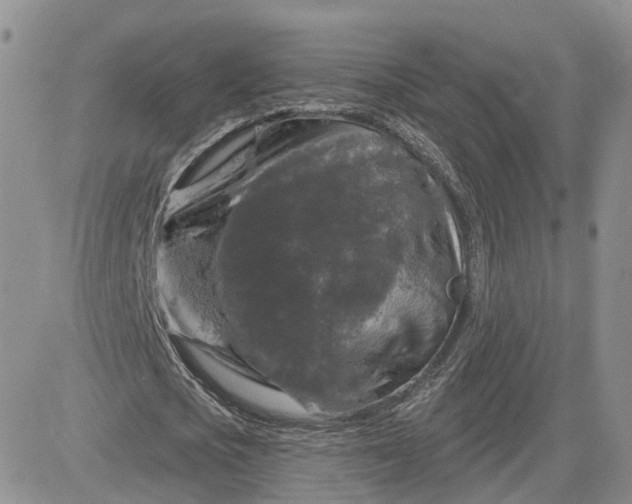 X0000083650721200702261115