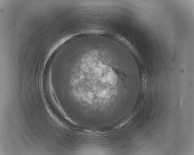 X0000083650726200702261115