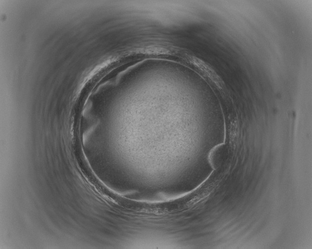 X0000083650727200702261115