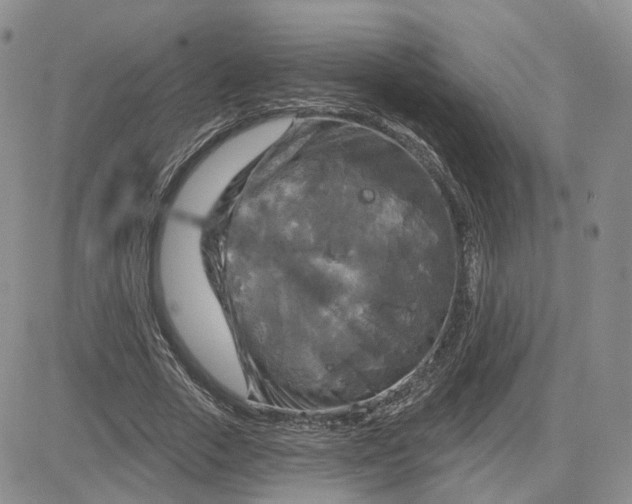 X0000083650729200702261115