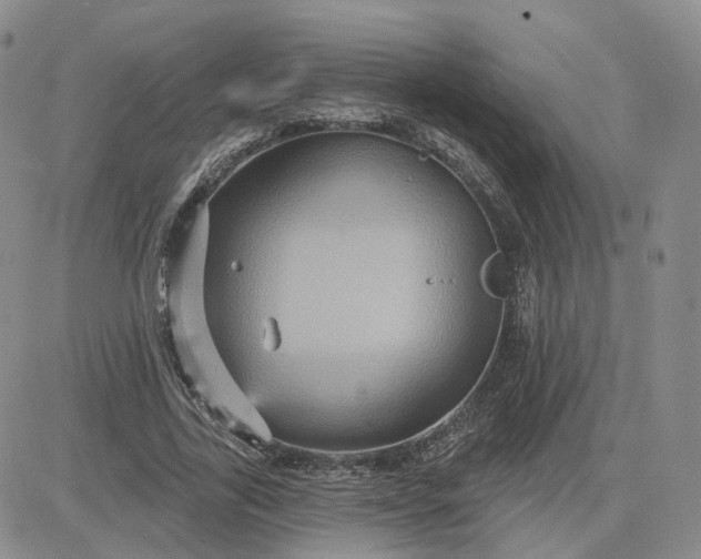 X0000083650731200702261115