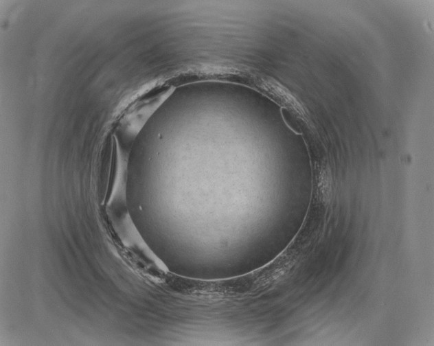 X0000083650732200702261115