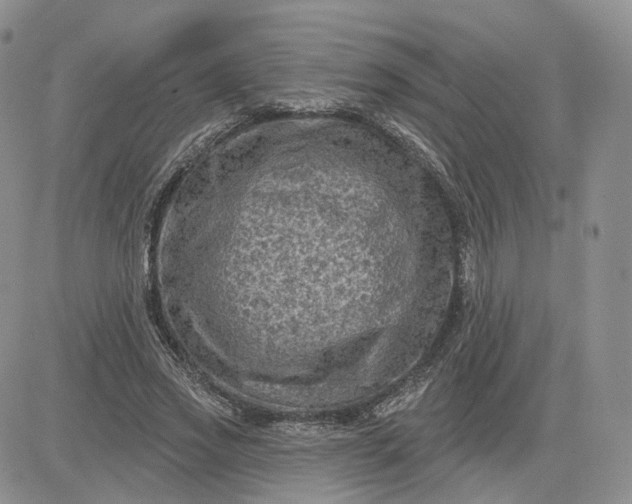 X0000083650733200702261115