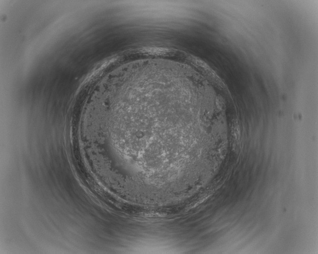 X0000083650734200702261115