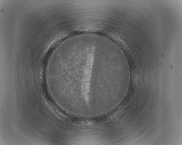 X0000083650735200702261115