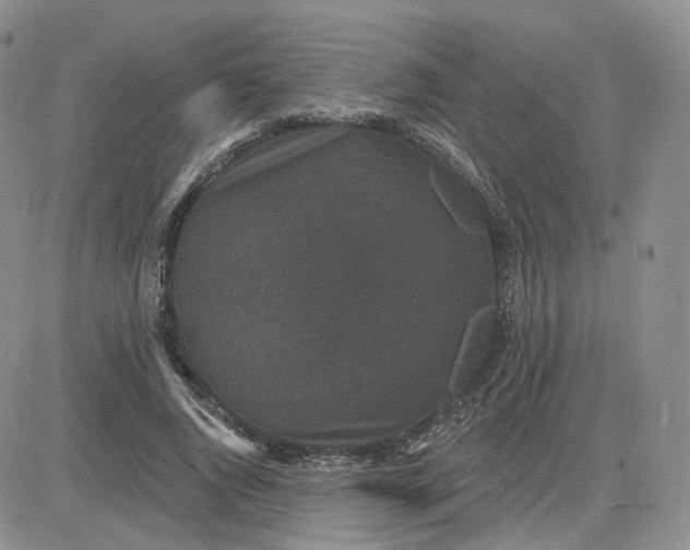 X0000083650736200702261115