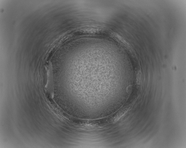 X0000083650737200702261115