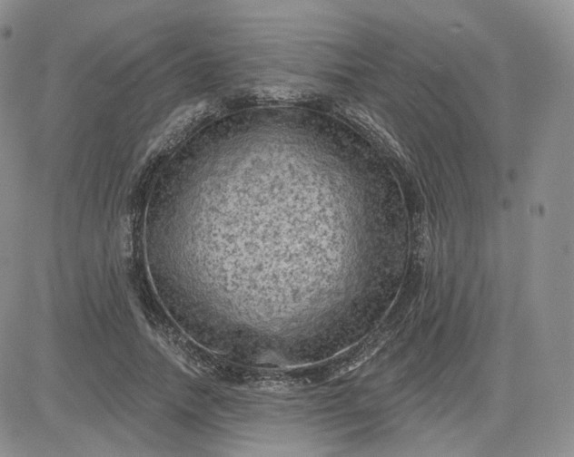 X0000083650738200702261115