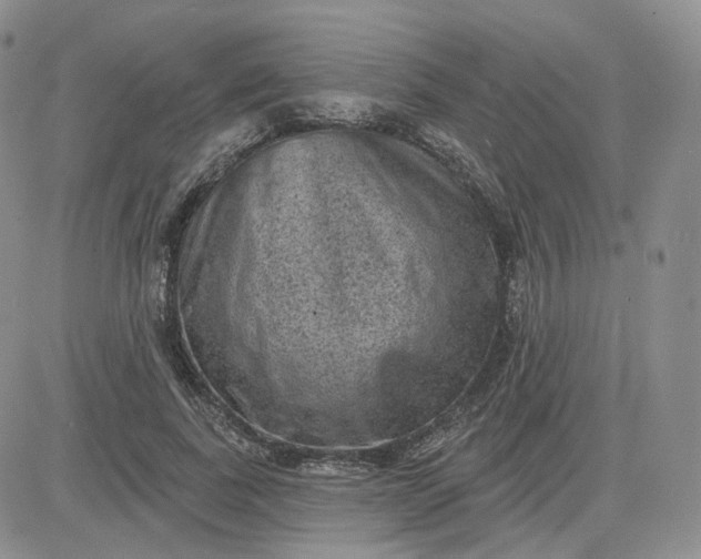 X0000083650739200702261115