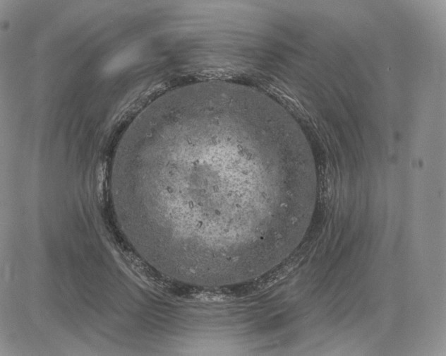 X0000083650742200702261115