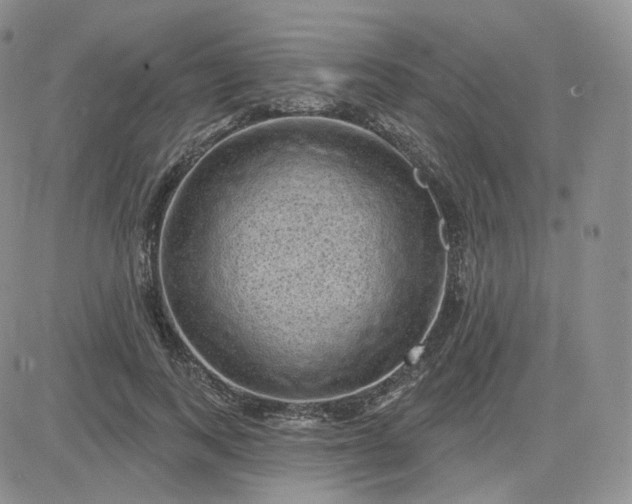 X0000083650743200702261115