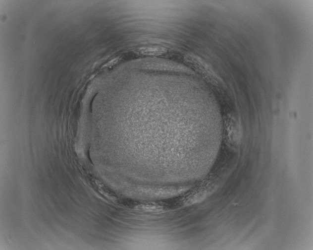 X0000083650745200702261115