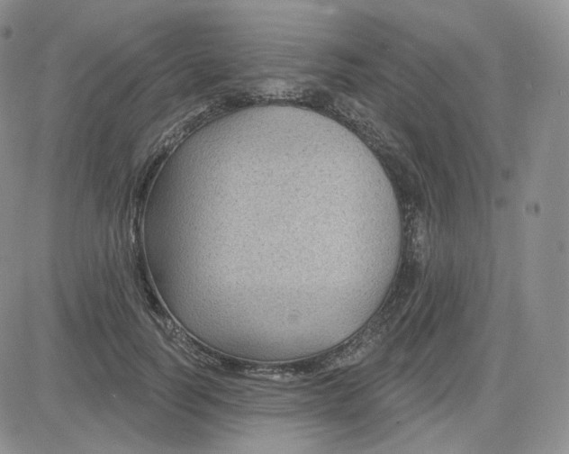 X0000083650746200702261116