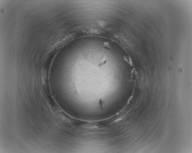 X0000083650747200702261116