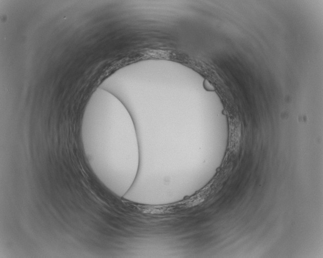 X0000083650749200702261116