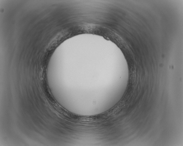 X0000083650750200702261116