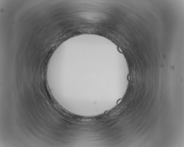 X0000083650751200702261116