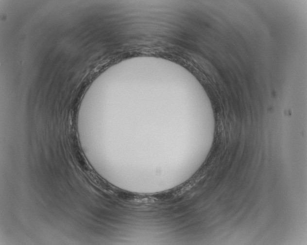 X0000083650752200702261116