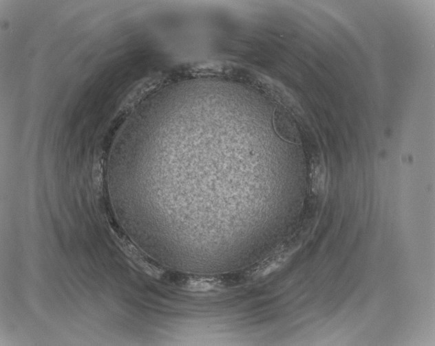 X0000083650753200702261116