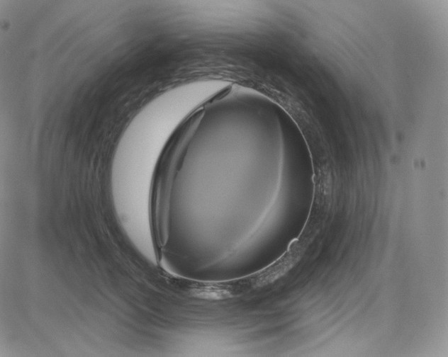 X0000083650754200702261116