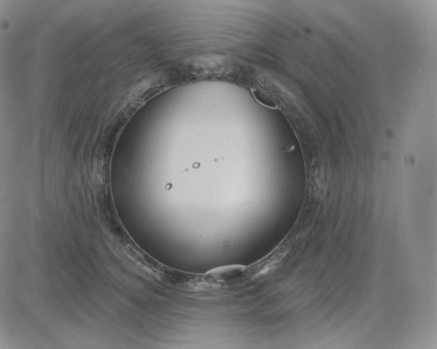 X0000083650756200702261116