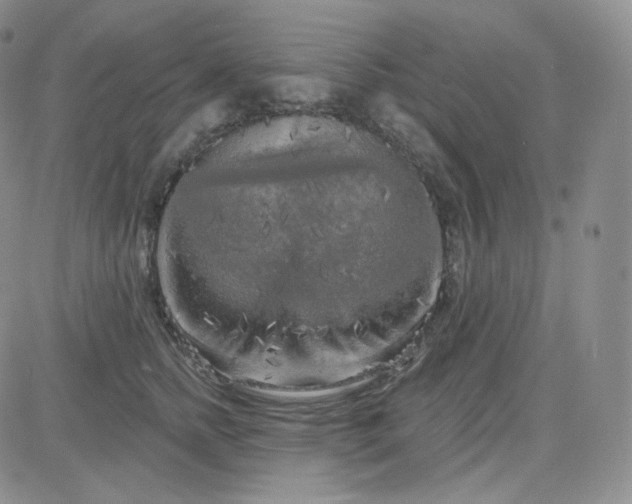 X0000083650758200702261116