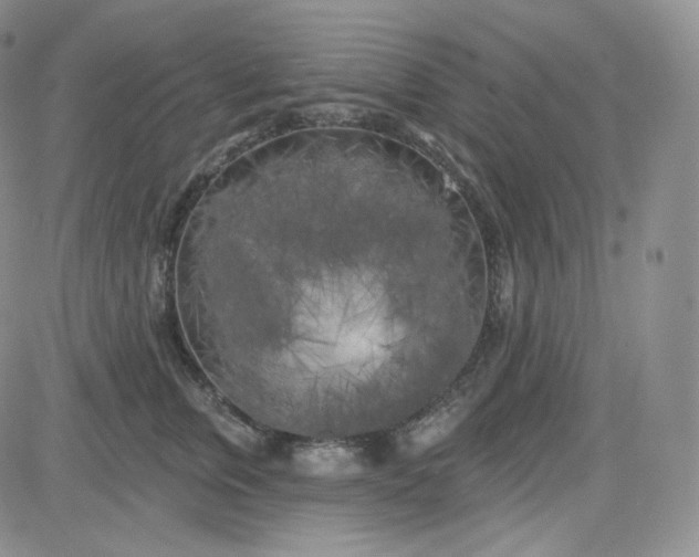 X0000083650759200702261116