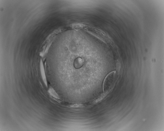 X0000083650761200702261116