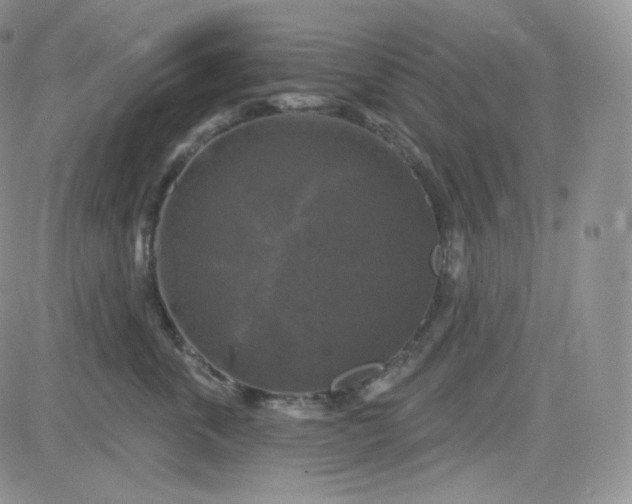 X0000083650763200702261116