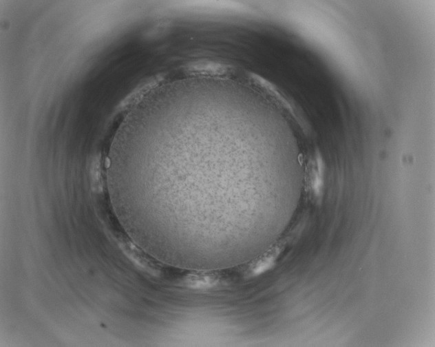 X0000083650764200702261116