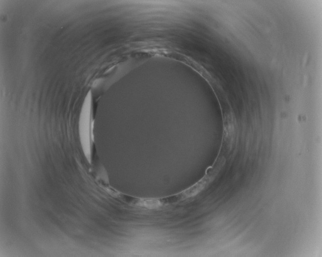 X0000083650767200702261116