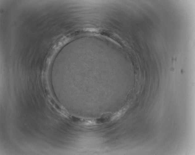 X0000083650768200702261116