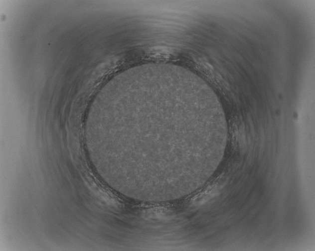 X0000083650769200702261115